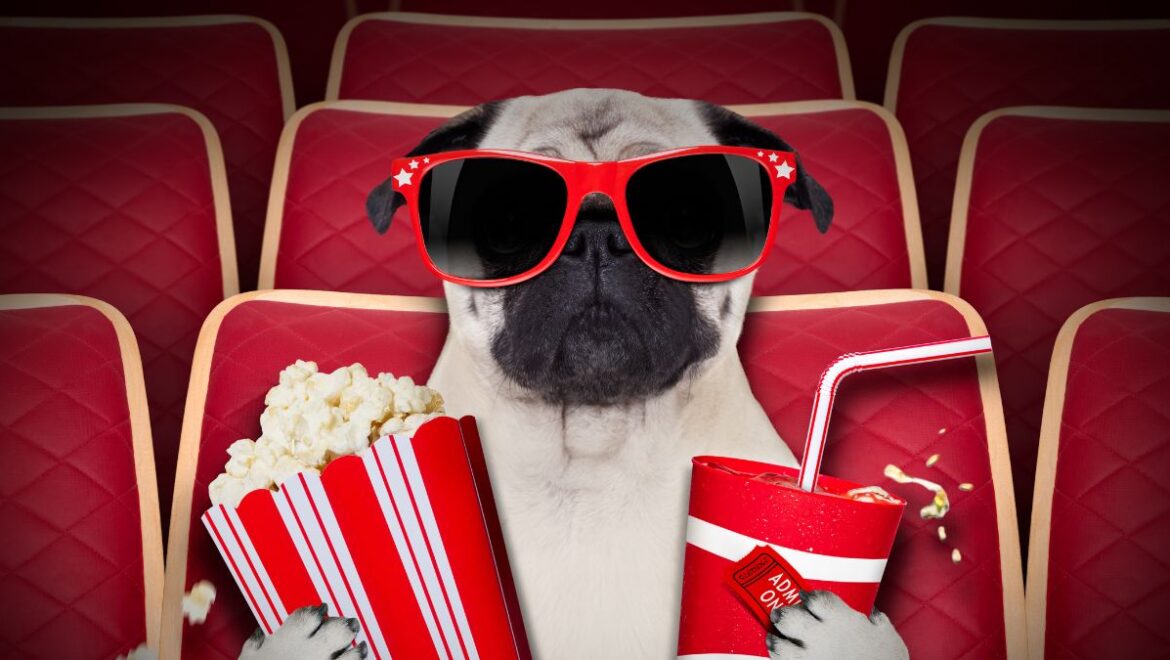 We All Make Mistakes – Not Just in the Movies